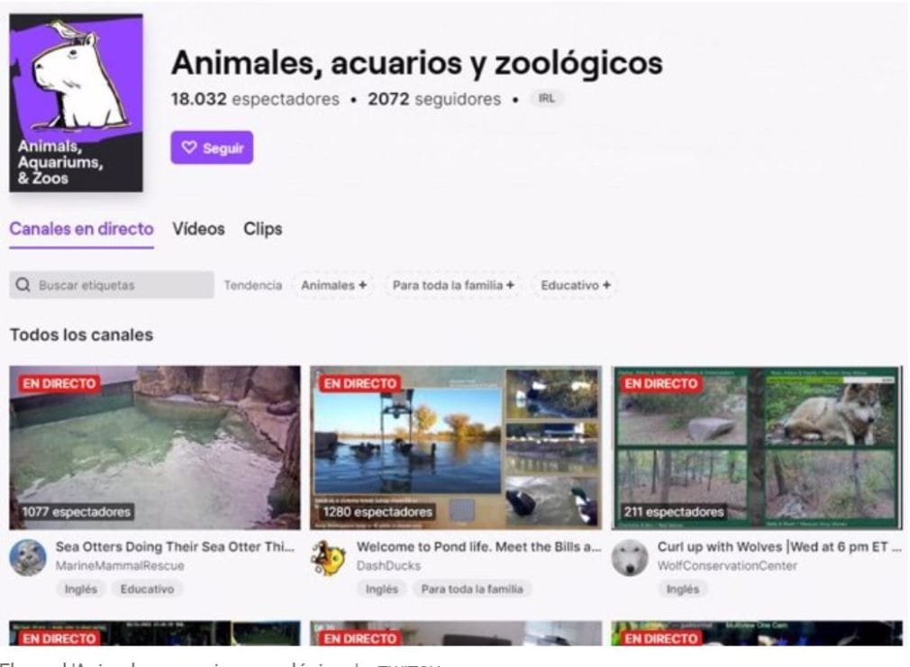 Twitch 