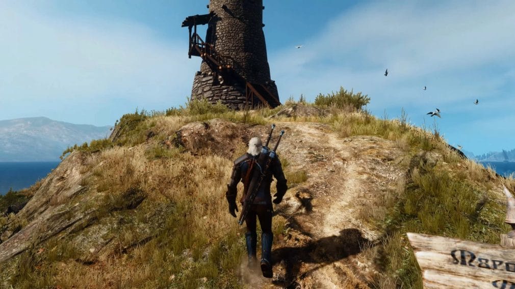 the witcher 3