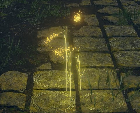 7 Mejores mods para Elden Ring