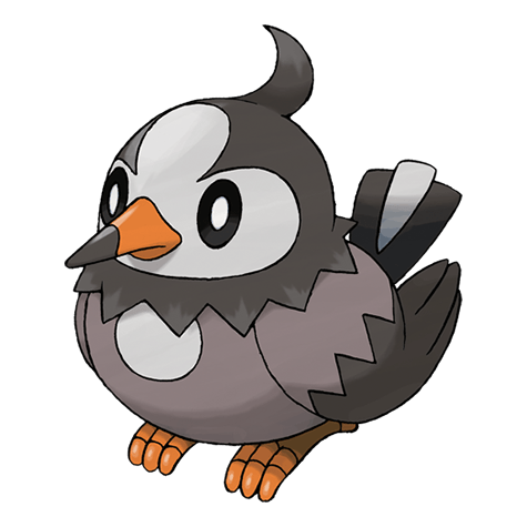 Pokémon GO: Starly vuela alto en el próximo Community Day Starly