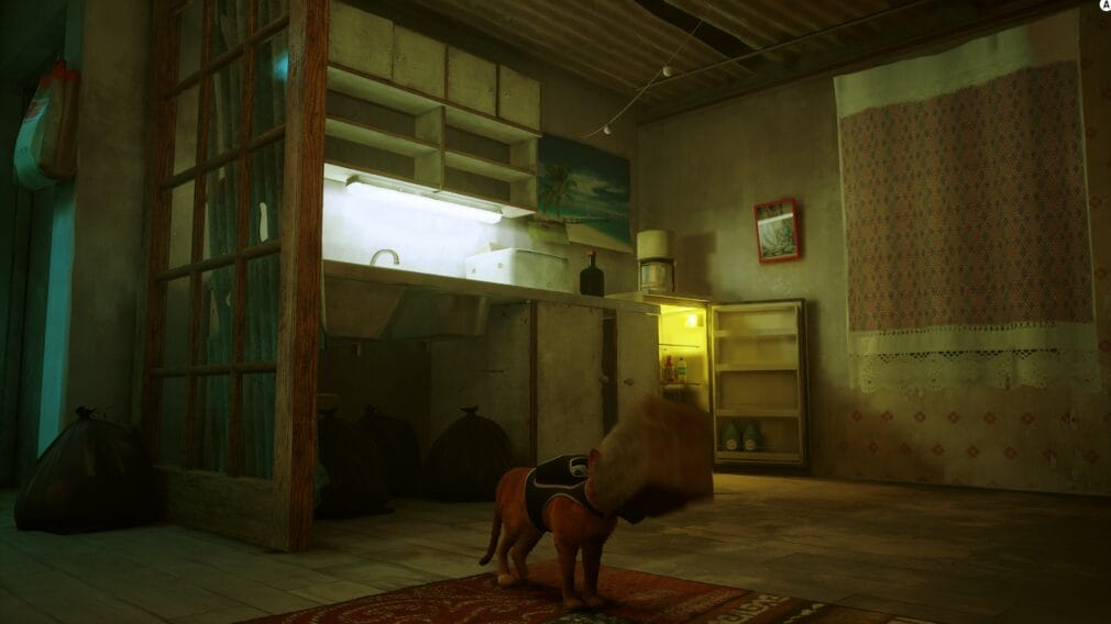 Análisis: Stray Análisis: Stray