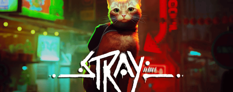 Análisis: Stray
