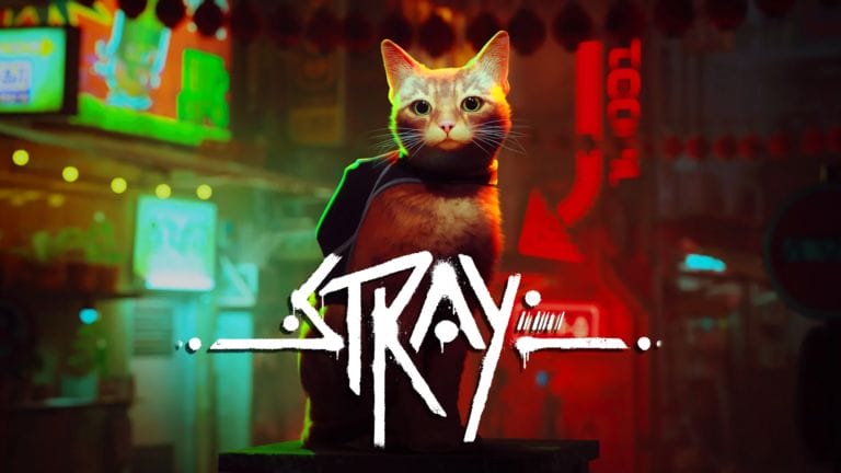 Análisis: Stray