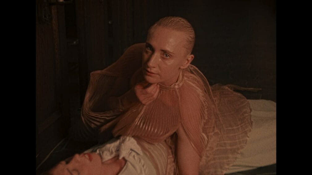 Análisis: IMMORTALITY Análisis: IMMORTALITY