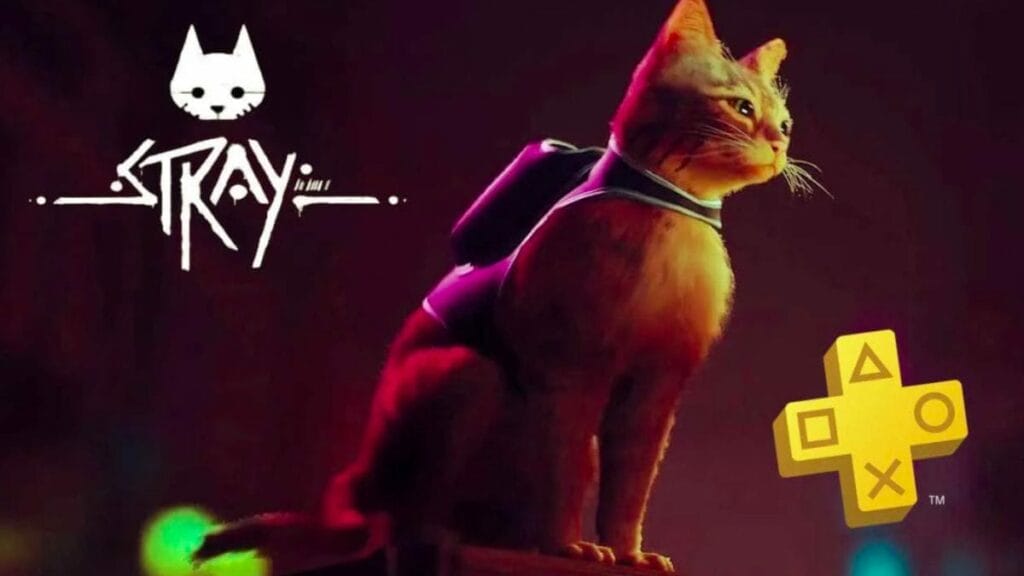 Stray ya tiene disponible su versión física para PlayStation 4