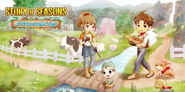 Análisis: Story of Seasons: A Wonderful Life