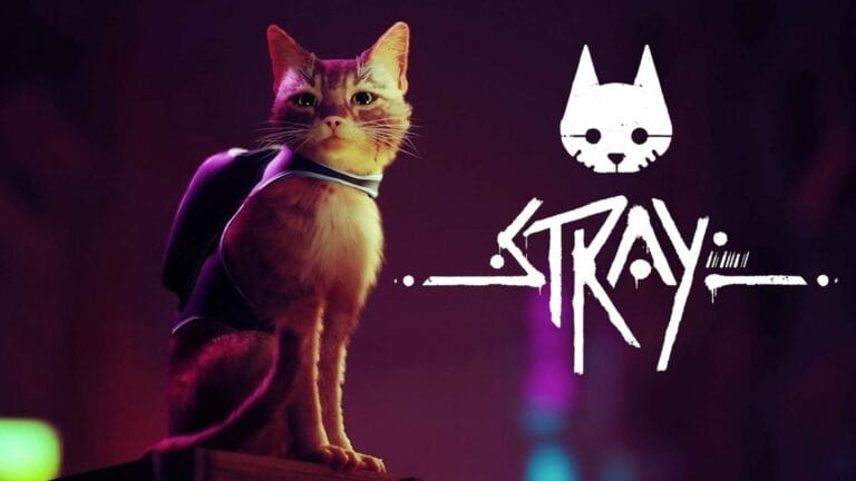 Stray llegará proximamente en formato físico para Xbox