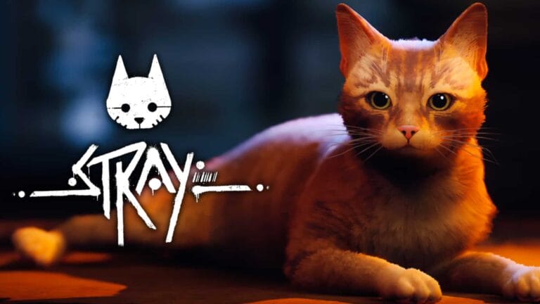 Stray ya está disponible en formato físico para Xbox