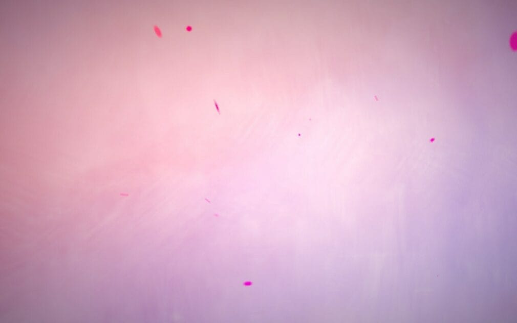 Primeras Impresiones: Arcanima Mist of Oblivion Prologue (2024)