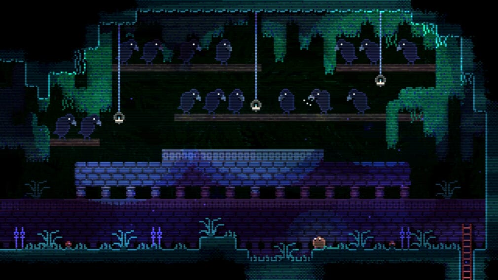 Animal Well, el Metroidvania inquietante y de fantasía, se lanza el 9 de mayo Animal Well, el Metroidvania inquietante y de fantasía, se lanza el 9 de mayo