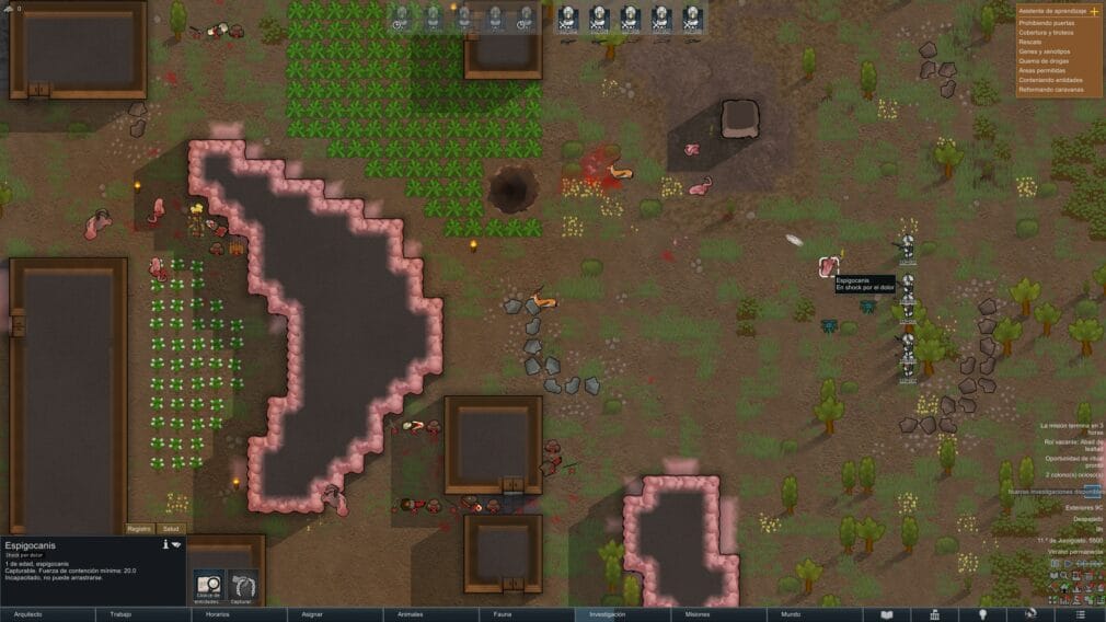 Rimworld