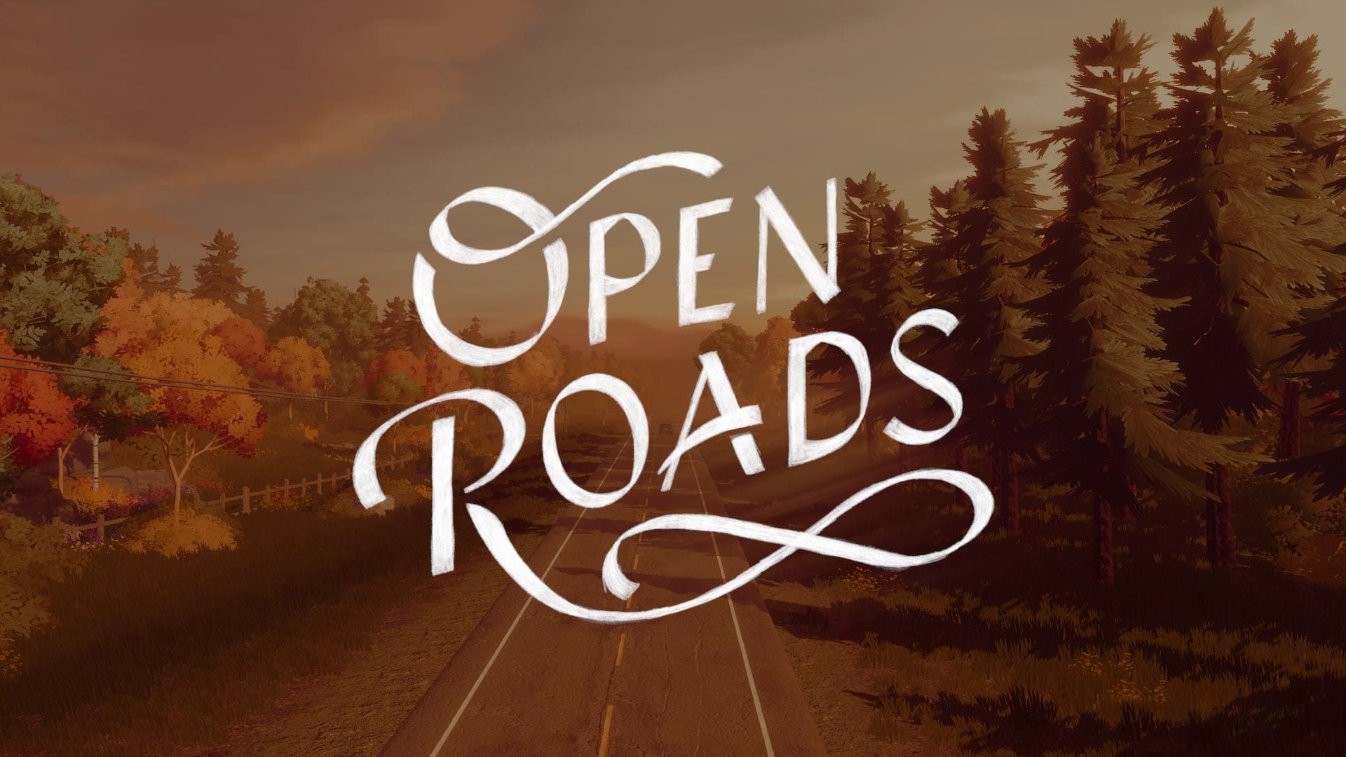 Análisis Open Roads