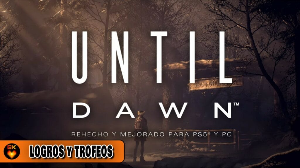 Until Dawn