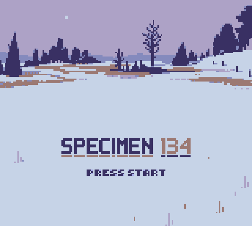 Análisis: Metamorphosis Collection