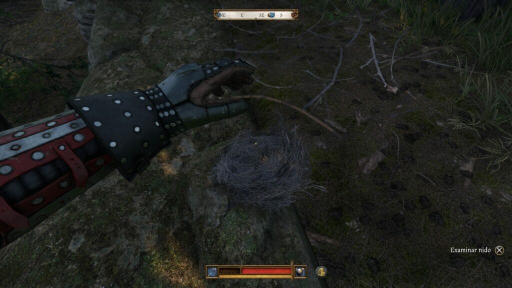 Kingdom Come Deliverance 2: Cómo derribar los nidos