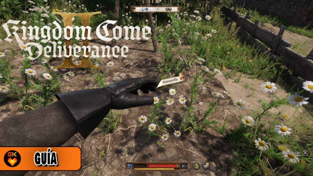 Kingdom Come Deliverance 2: Cómo conseguir manzanilla