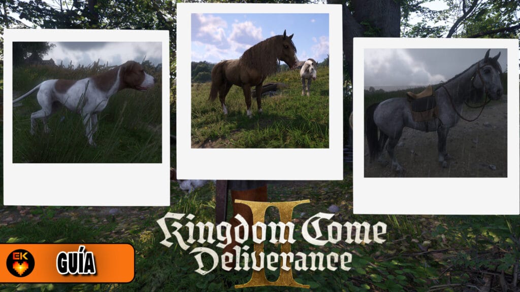 Kingdom Come Deliverance 2: Cómo utilizar el "Modo foto"