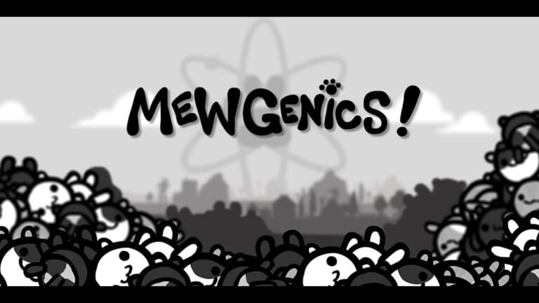 Borrador automático